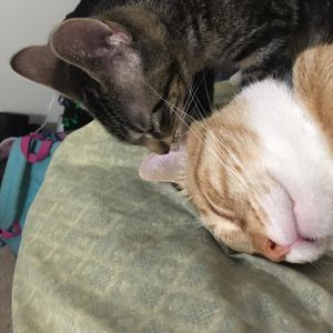 Meet your Posher, Esther